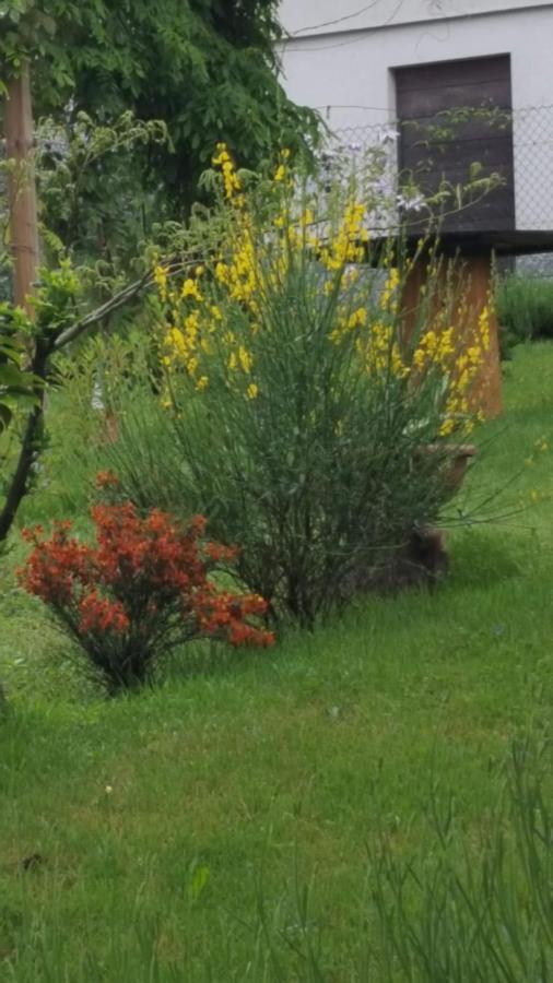 B & B Sentiero Valtellina Castello dell'Acqua ภายนอก รูปภาพ
