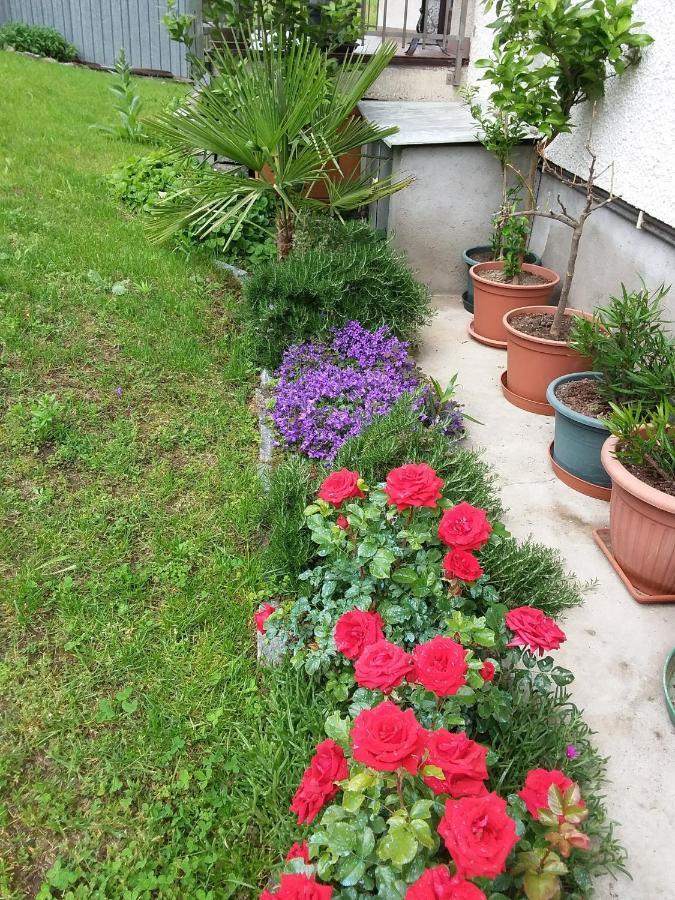 B & B Sentiero Valtellina Castello dell'Acqua ภายนอก รูปภาพ
