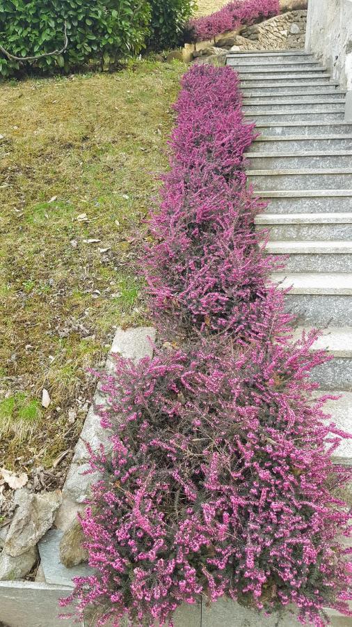 B & B Sentiero Valtellina Castello dell'Acqua ภายนอก รูปภาพ